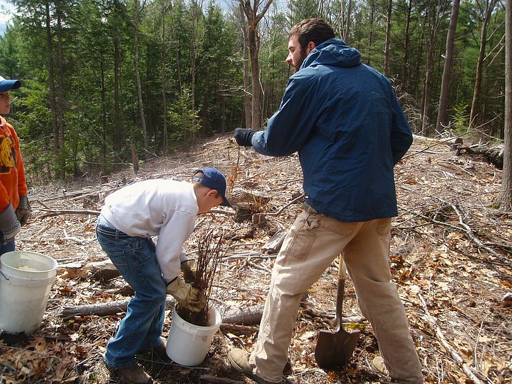 Volunteers outside in a recently cleared patch of forest planting native trees