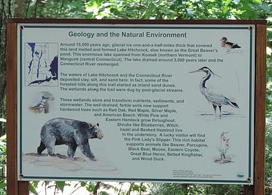 Geology & the Natural Environment Trail Sign