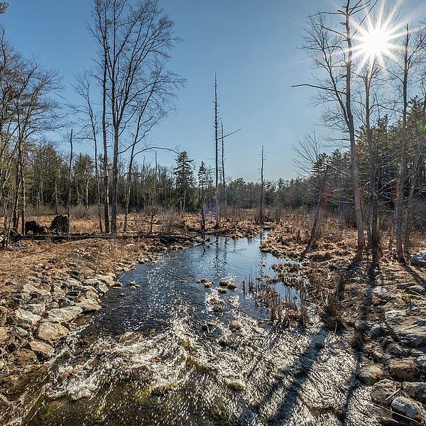 Robbins Pond, Rindge, NH Robbins Pond, in Rindge and Winchendon
