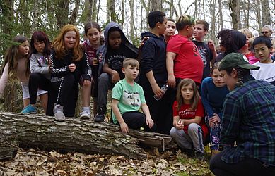 3rd and 4th graders stop at a log to view a salamander.