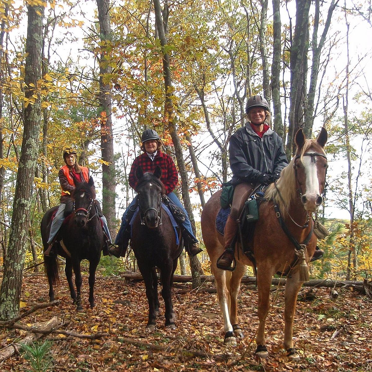 Group of people riding horses