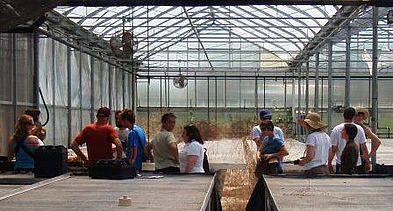 rff greenhouse