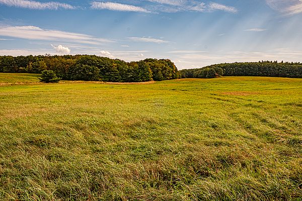 The Norcross Hill Wildlife Management Area in Templeton