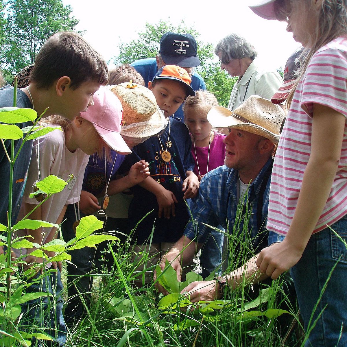 Children touring Skyfields