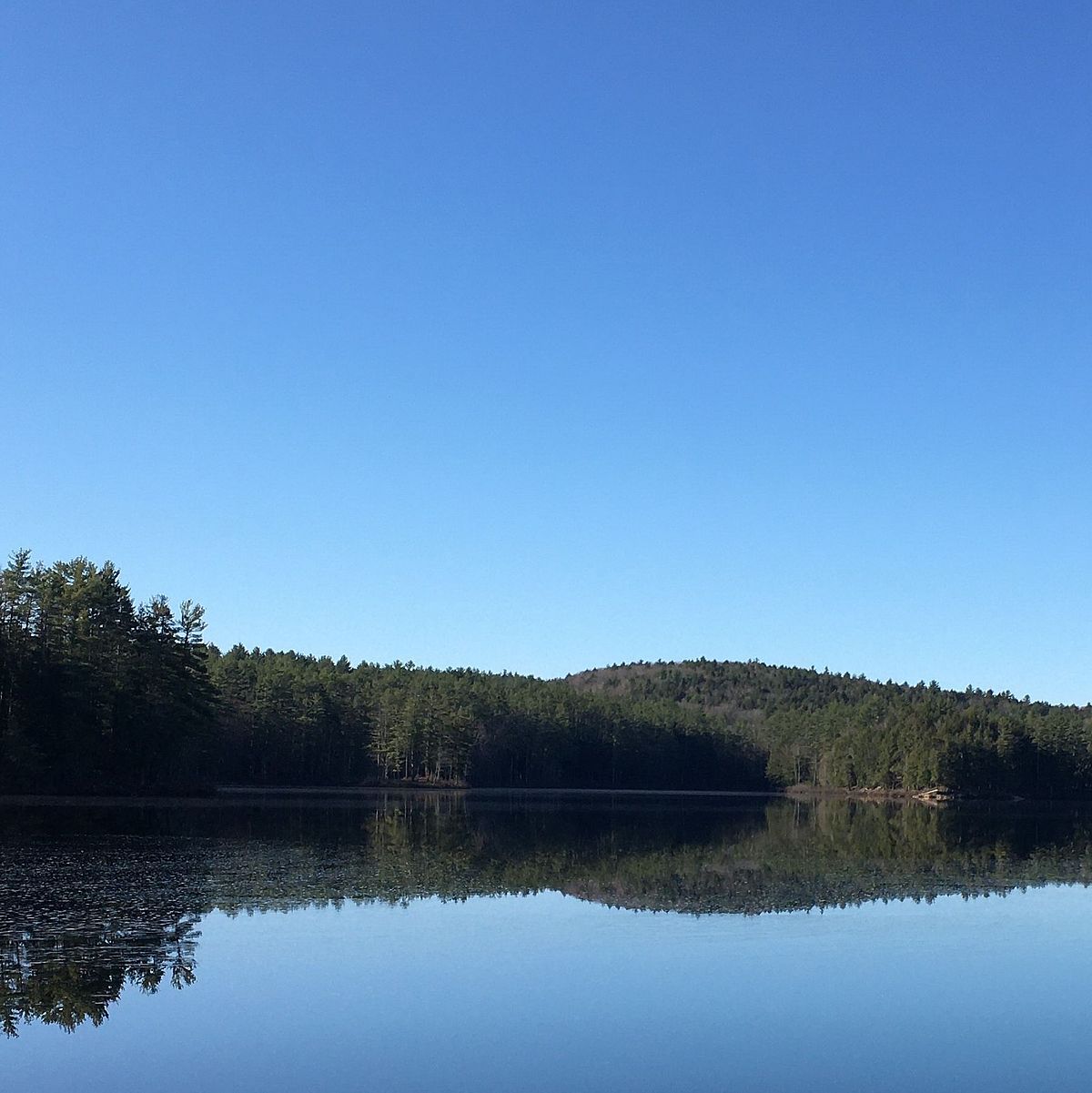 view of Tully Lake from the shore