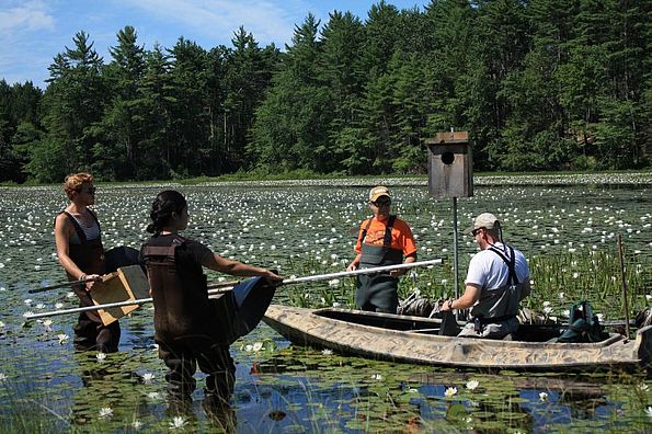 Clark Students Duck Box Installation