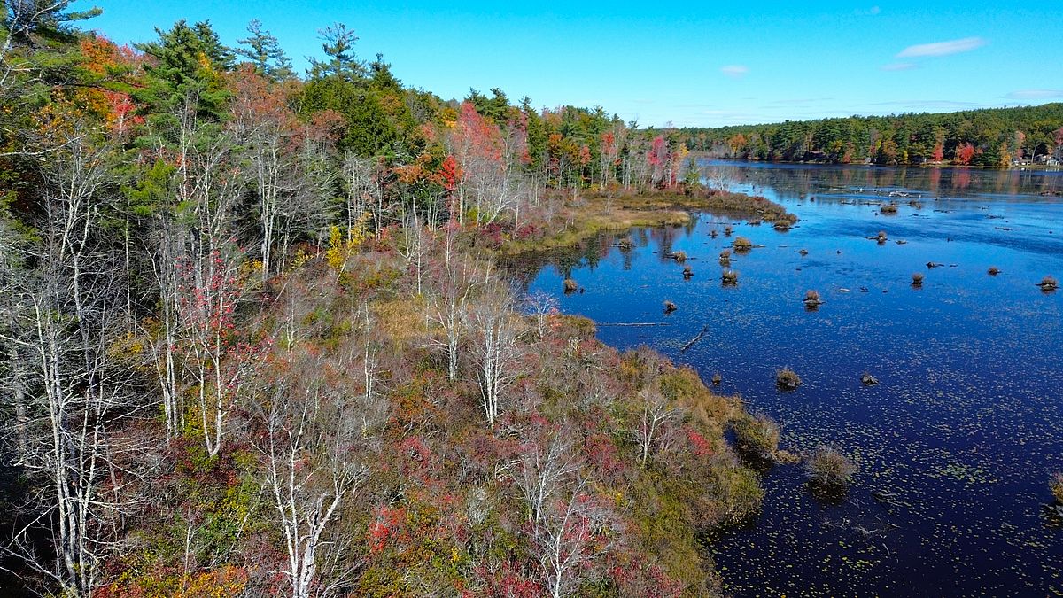 ??????????????????????????