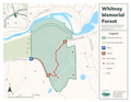 Download PDF file Whitney Memorial Forest Trail Brochure 01