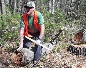 Tom & Beetle Damaged Tree