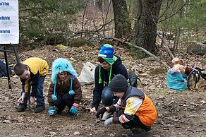 Skit-Keep the Forest Tidy