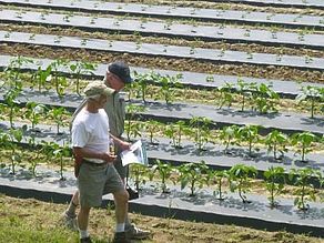 Touring Red Fire Farm's fields on the new trail 