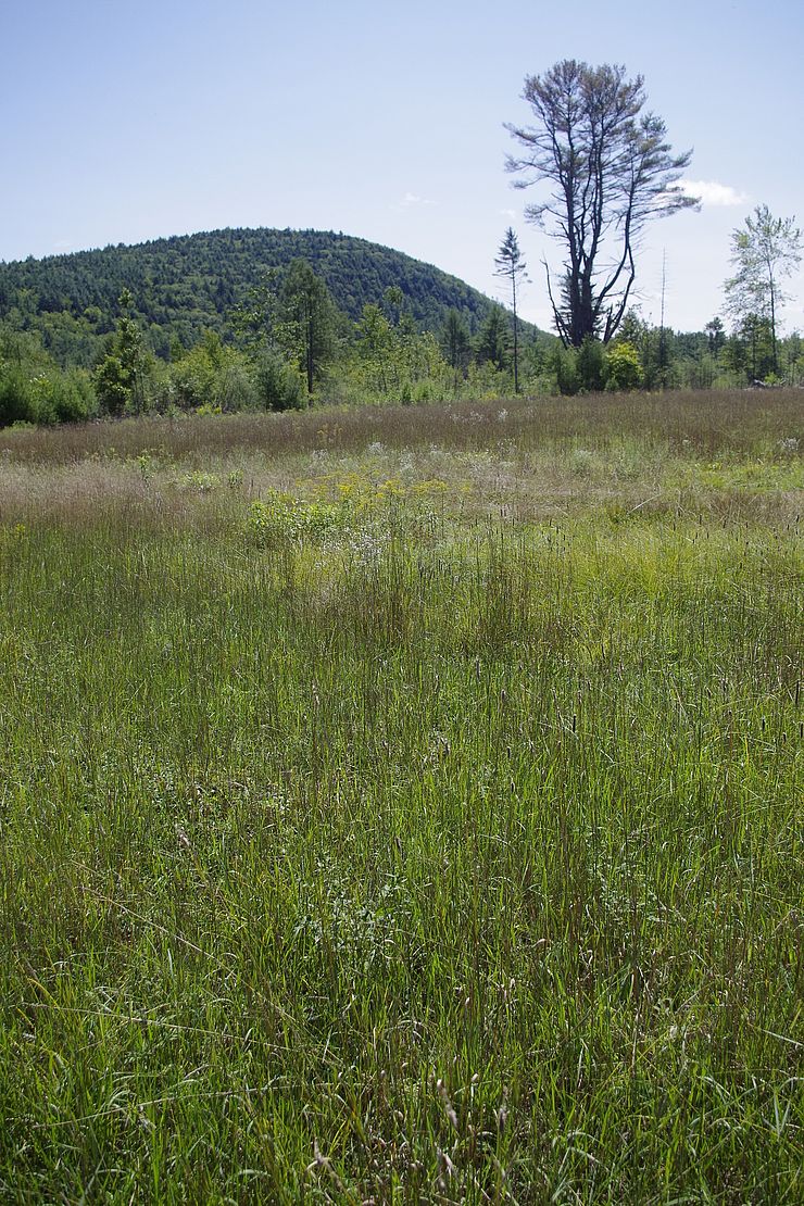 View of Tully Mountain from Foye fields