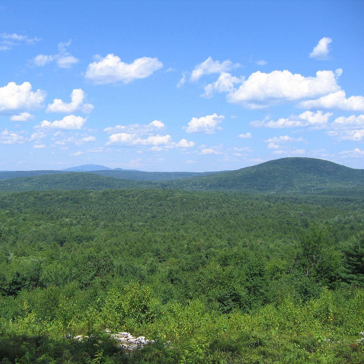View from Richardson Overlook