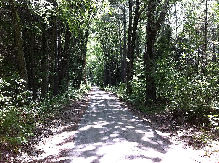 Hastings Pond Road in Warwick