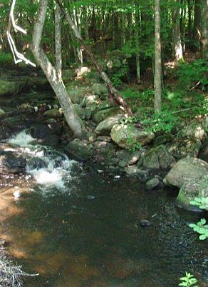 Gale- West Branch Tully River
