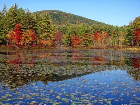 Tully Mountain by David Brothers