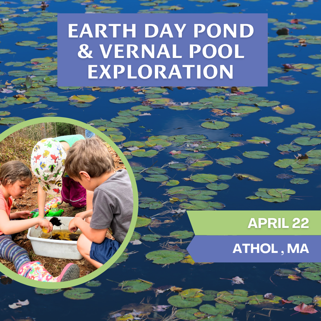 Earth Day Pond and Vernal Pool Exploration